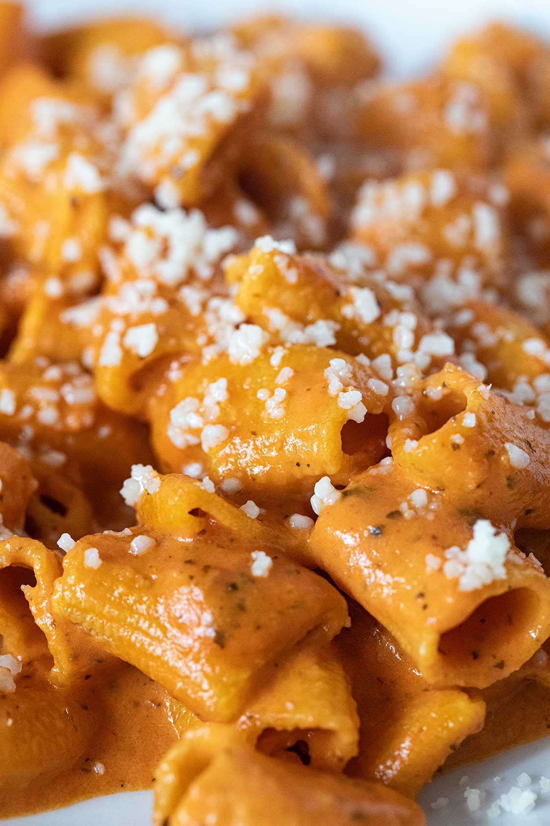 Sorella Italian Pasta