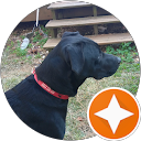 workerbeebuzz profile picture